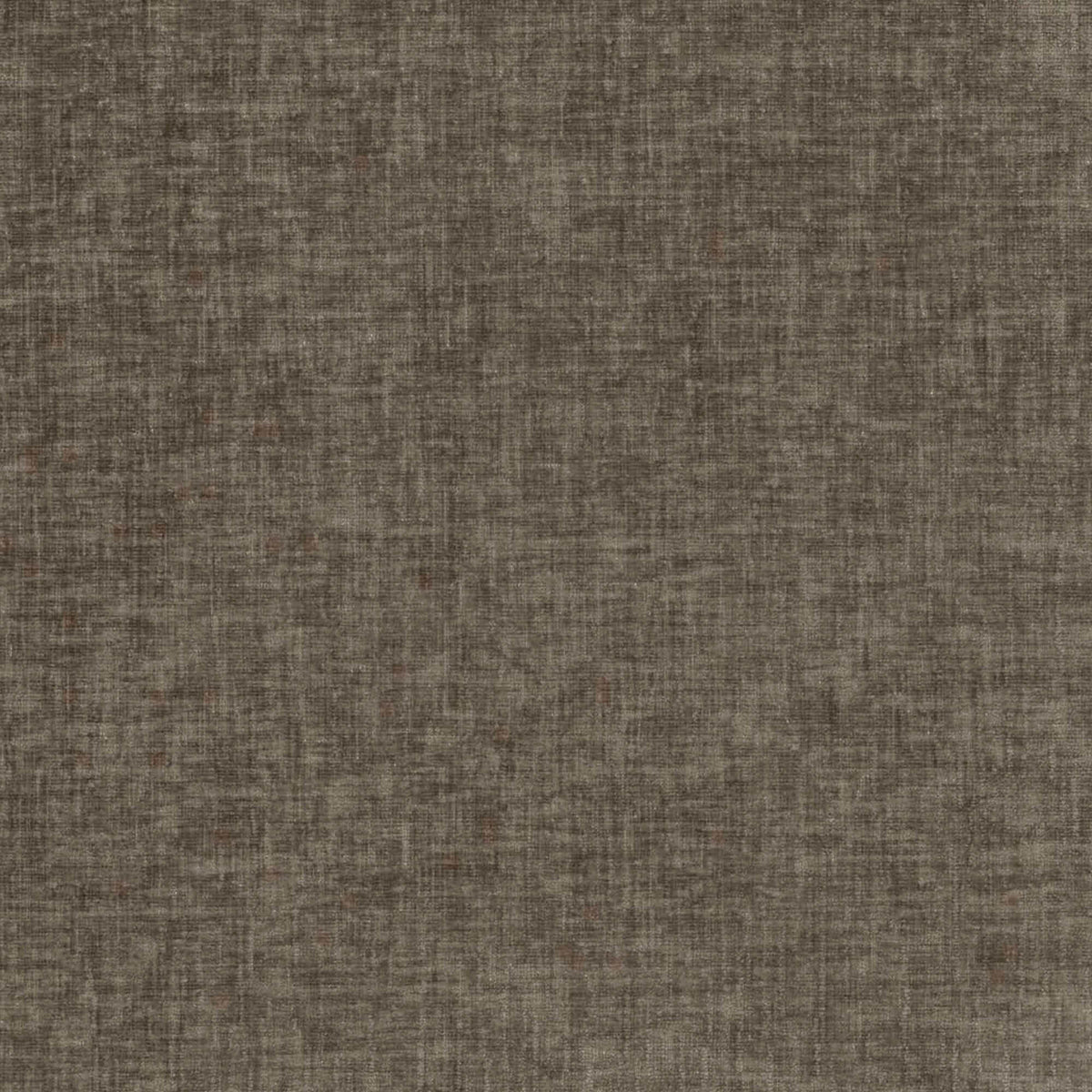 Renoa Poltroncina dall'eleganza moderna in tessuto smacchiabile T24 - divitt.sbs