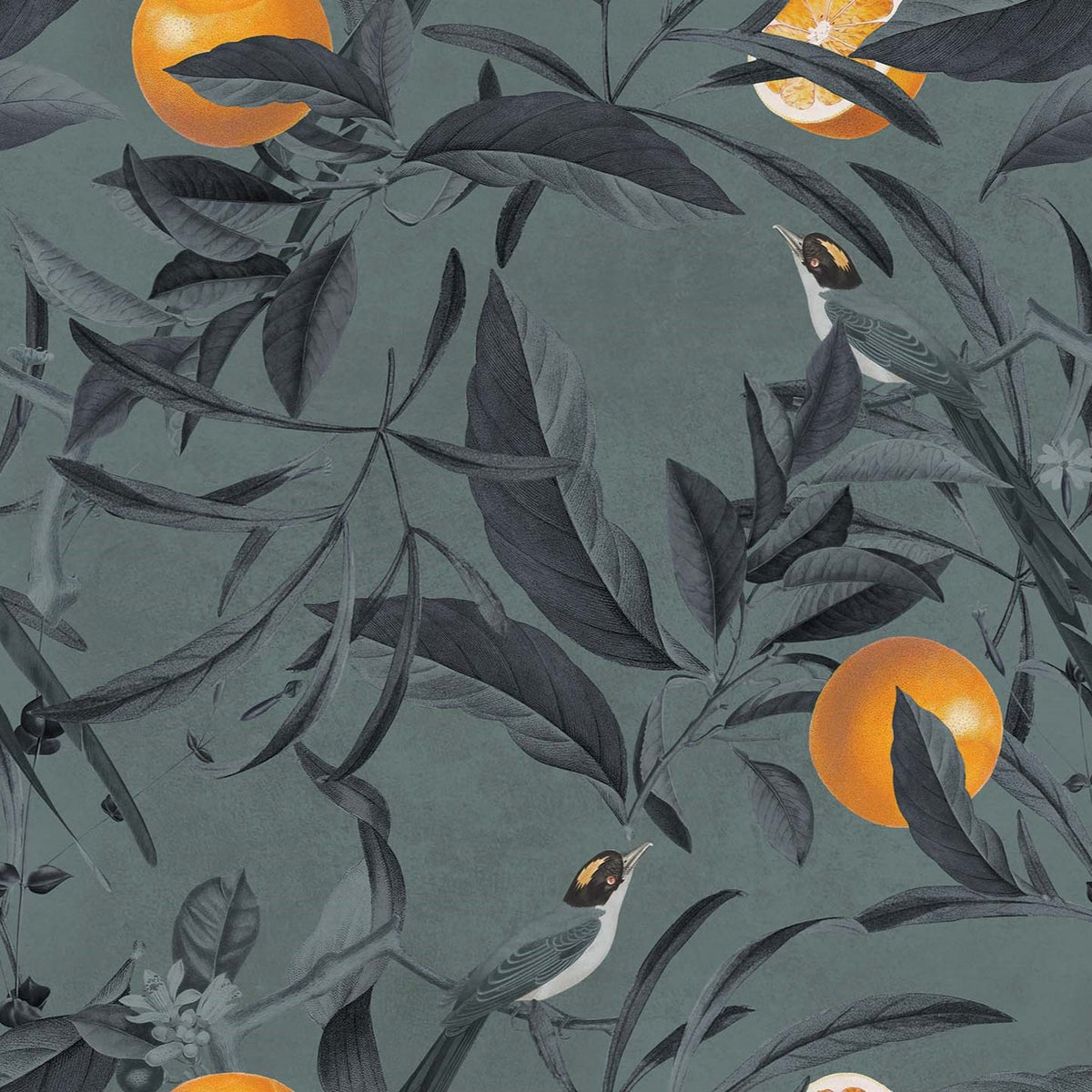 Lemon elegante collezione di cuscini a fantasia in velluto impermeabile - divitt.sbs