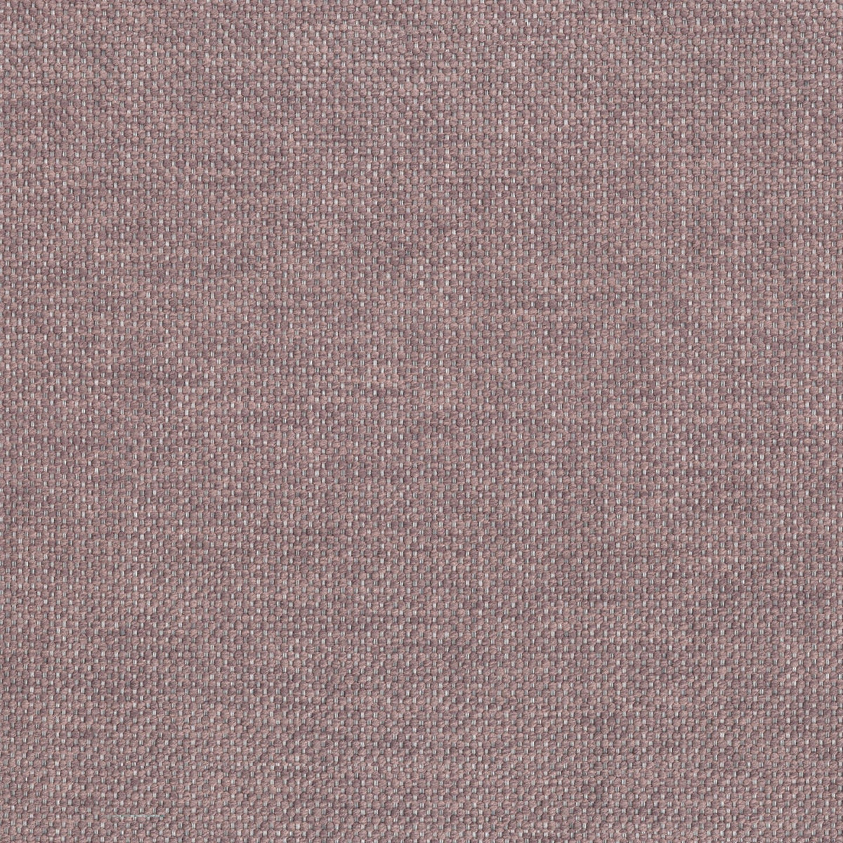 Tauro cuscino disponibile in diversi colori in tessuto misto cotone smacchiabile T18 - divitt.sbs