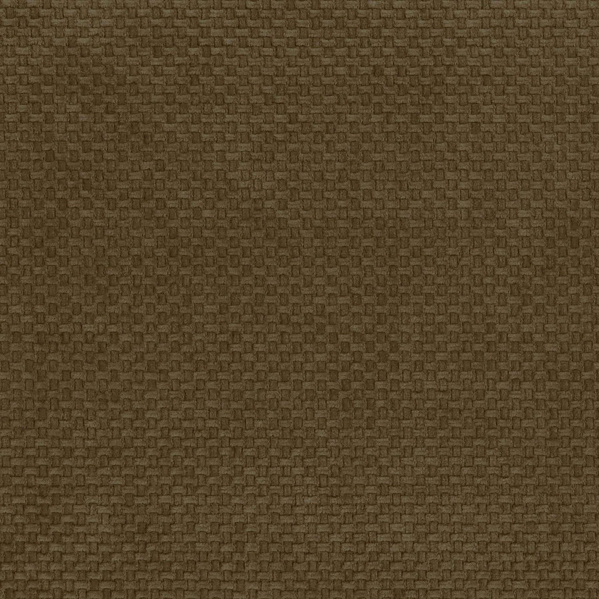 Kaleo Divano letto moderno con materasso H17 cm - in raffinato tessuto impermeabile T26 - divitt.sbs