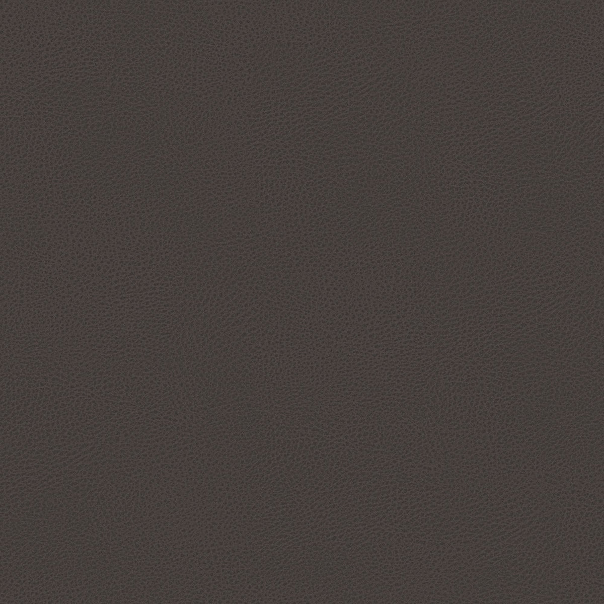 Nina letto contenitore dal design minimal in microfibra effetto pelle smacchiabile marrone - divitt.sbs