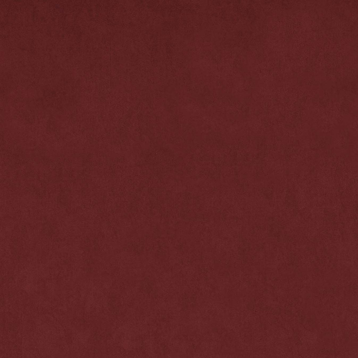 Rotterdam cuscino disponibile in diversi colori realizzato in microfibra effetto velluto raso impermeabile T09 - divitt.sbs