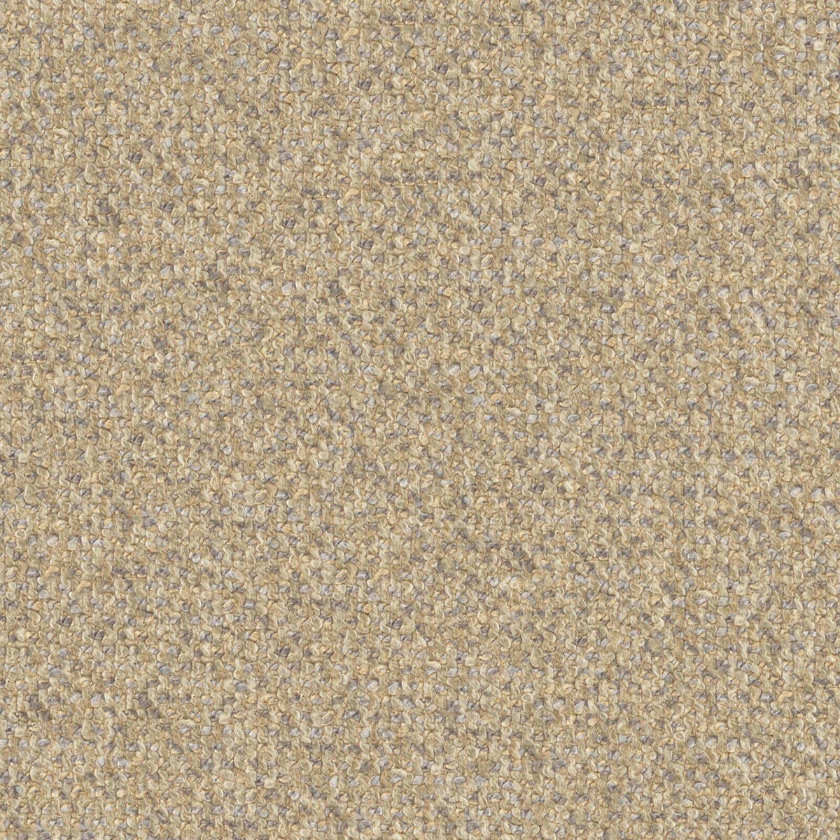 Sonic cuscino disponibile in diversi colori realizzato in pregiato bouclé smacchiabile T12 - divitt.sbs