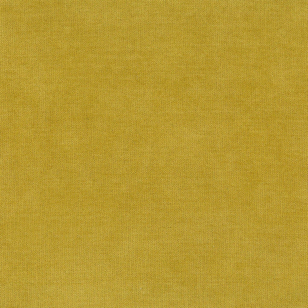 Bjorn divano letto sfoderabile con materasso H18 cm e poggiatesta reclinabili in tessuto impermeabile T02 giallo - divitt.sbs