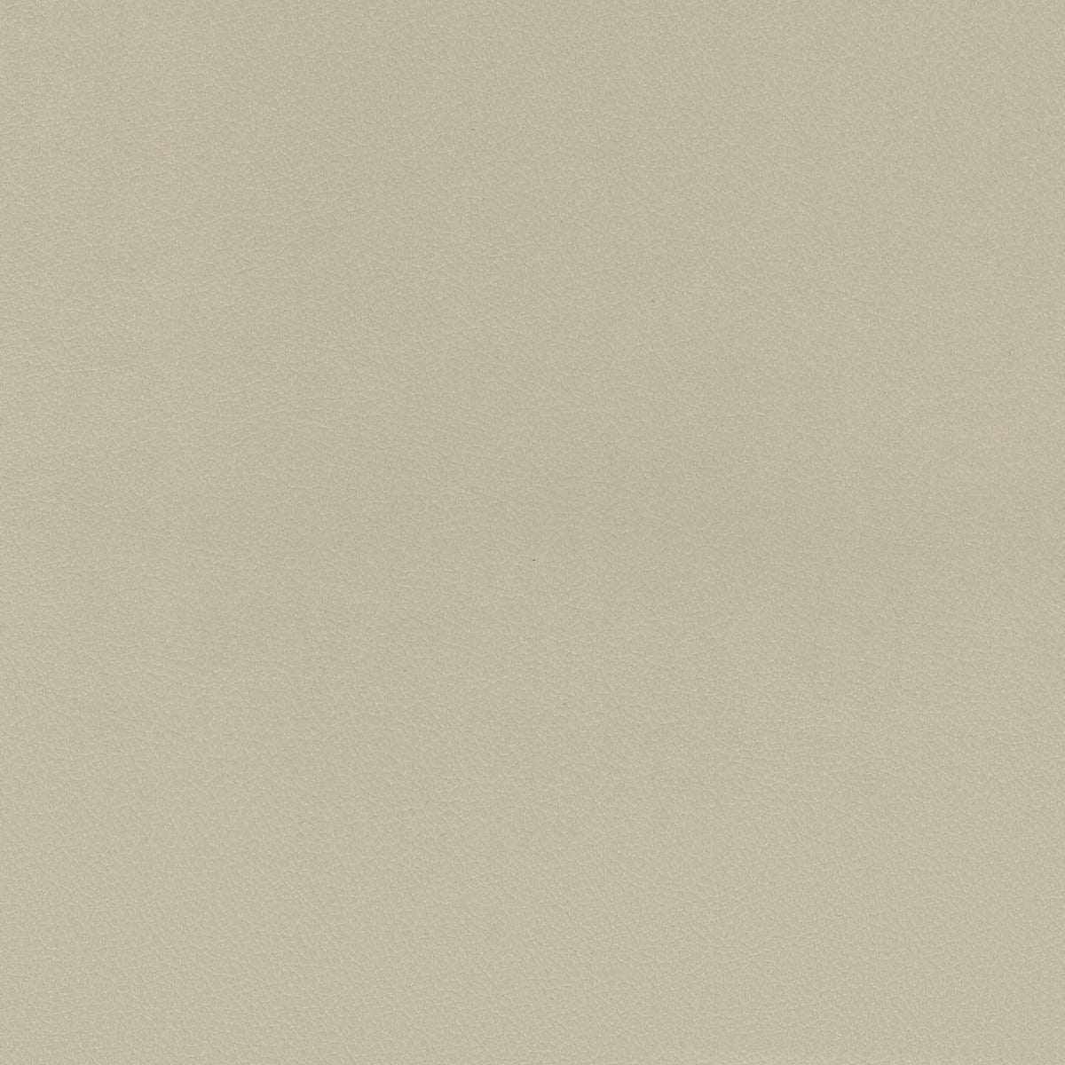 Florida cuscino disponibile in diversi colori realizzato in ecopelle resistente impermeabile T04 - divitt.sbs