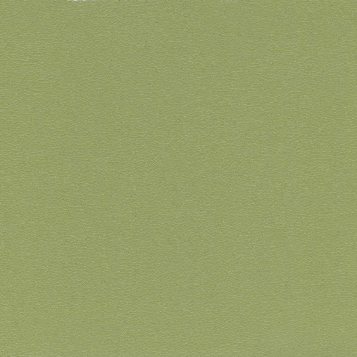 Florida cuscino disponibile in diversi colori realizzato in ecopelle resistente impermeabile T04 - divitt.sbs