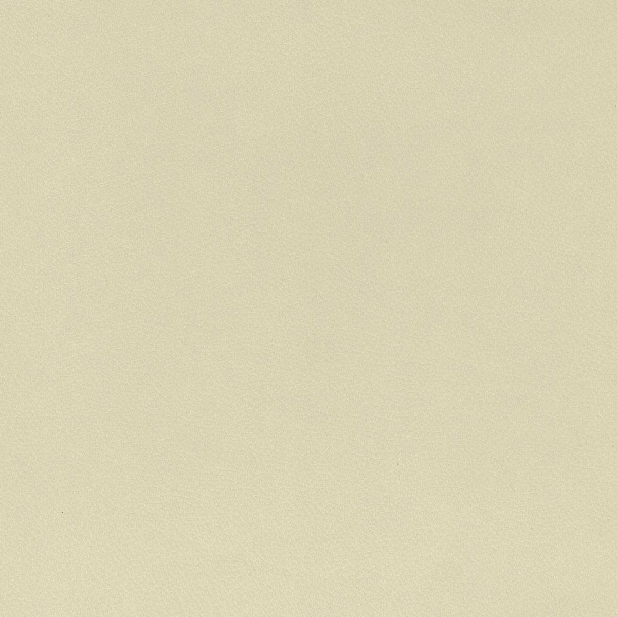 Florida cuscino disponibile in diversi colori realizzato in ecopelle resistente impermeabile T04 - divitt.sbs