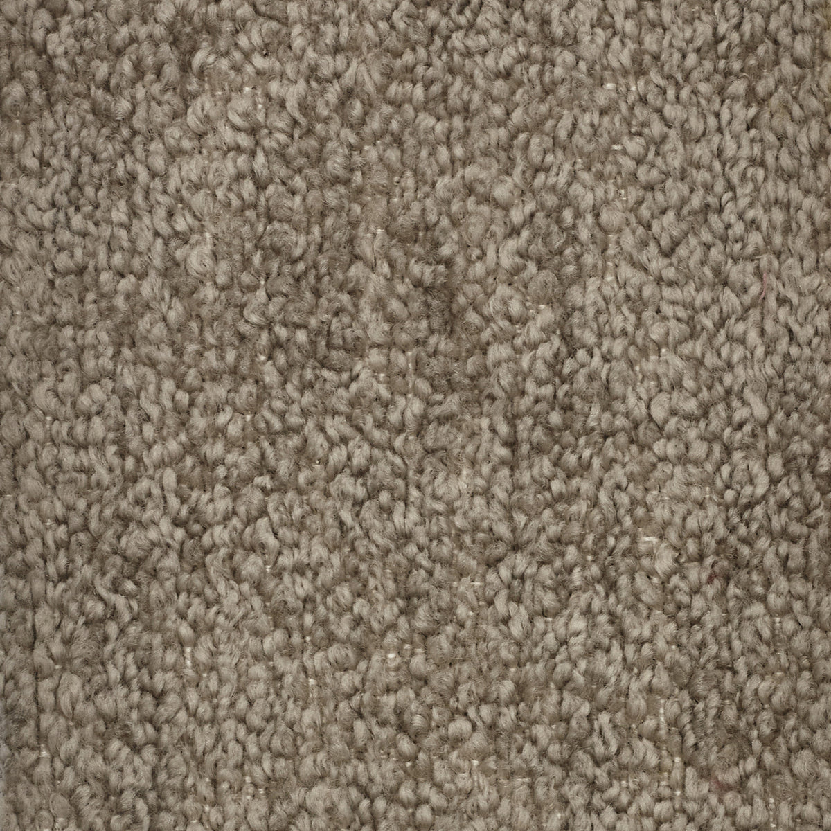 T21 Favola morbido ed elegante Bouclé con trattamento impermeabile e Smacchiabile - divitt.sbs