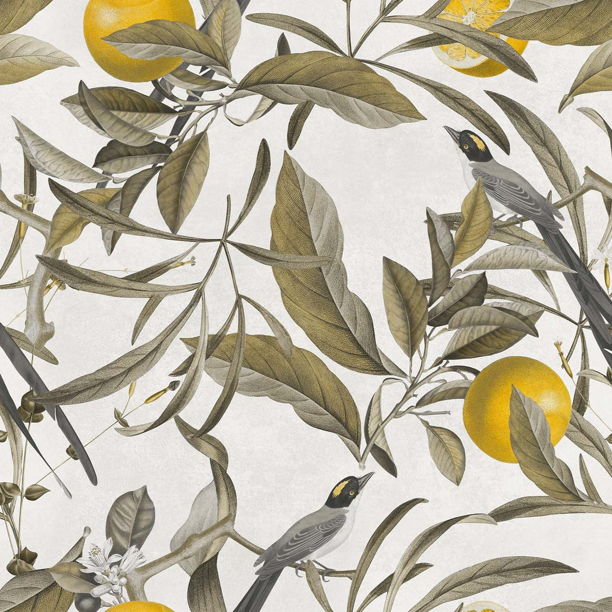 Lemon elegante collezione di cuscini a fantasia in velluto impermeabile - divitt.sbs