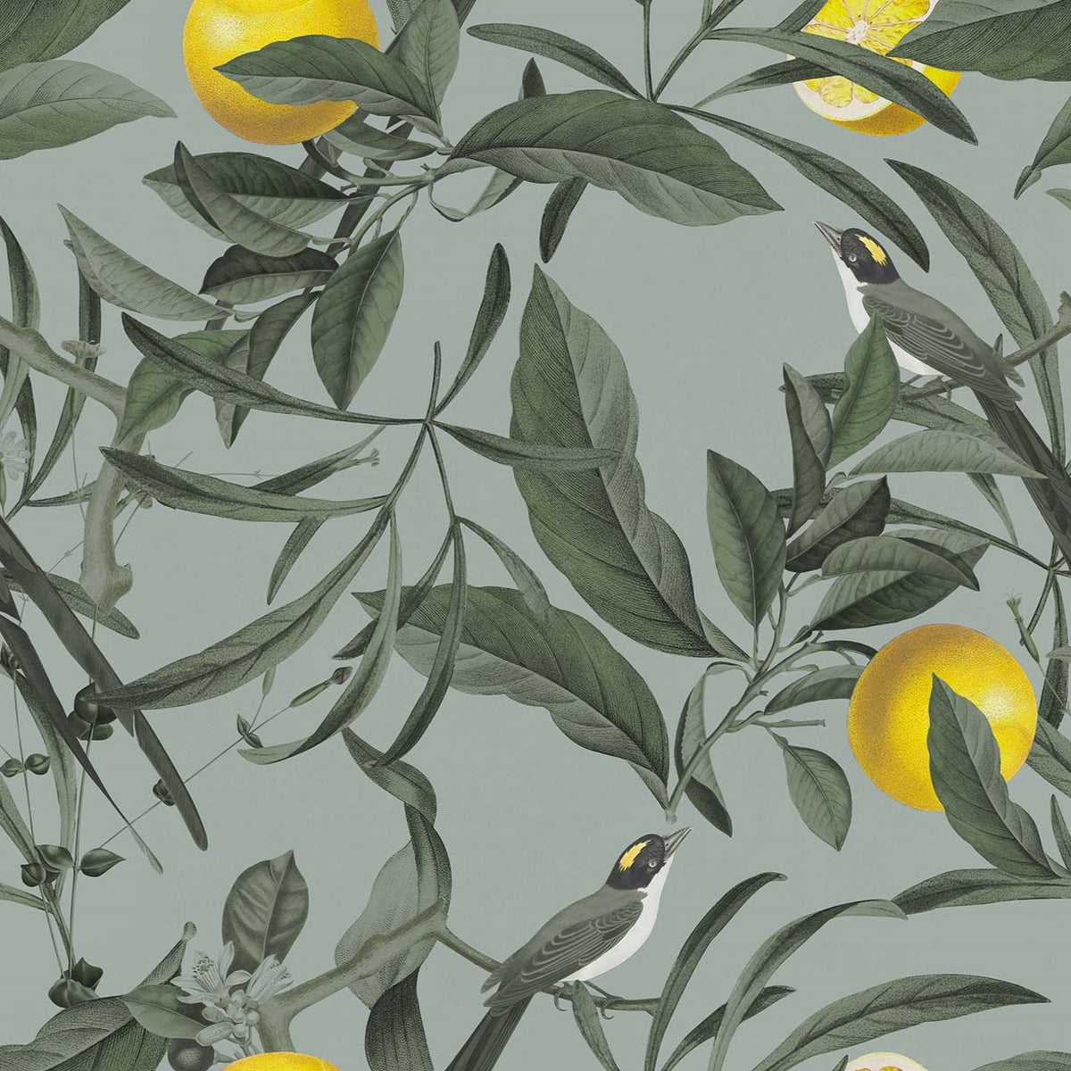 Lemon elegante collezione di cuscini a fantasia in velluto impermeabile - divitt.sbs