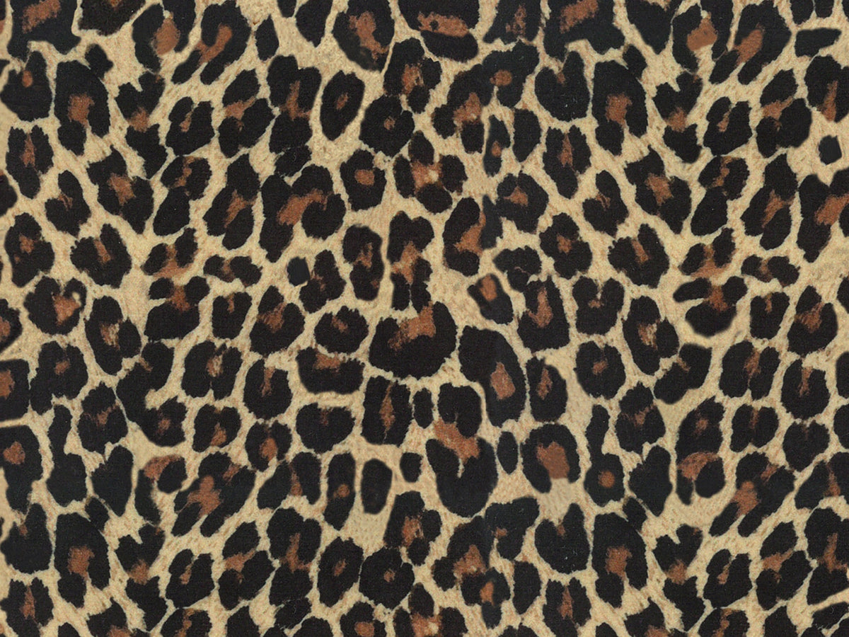 Shop online Wild cuscino in collezione Wild in microfibra impermeabile leopardo - divitt.sbs