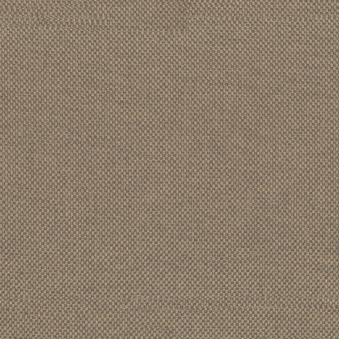 Tauro cuscino disponibile in diversi colori in tessuto misto cotone smacchiabile T18 - divitt.sbs