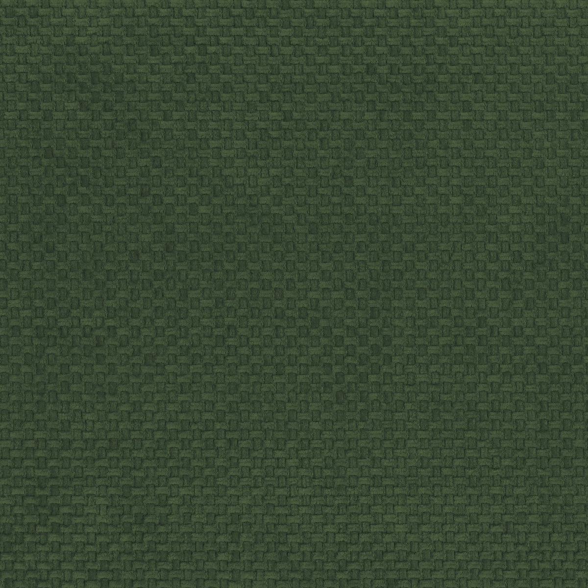 Primo piano su un tessuto verde oliva scuro della linea “Personalizzazione in T26 ASTON”, caratterizzato da una trama intrecciata a canestro composta da piccoli blocchi quadrati ripetuti, formati dall’intreccio dei fili, che conferiscono alla superficie un aspetto uniforme e piacevole al tatto.