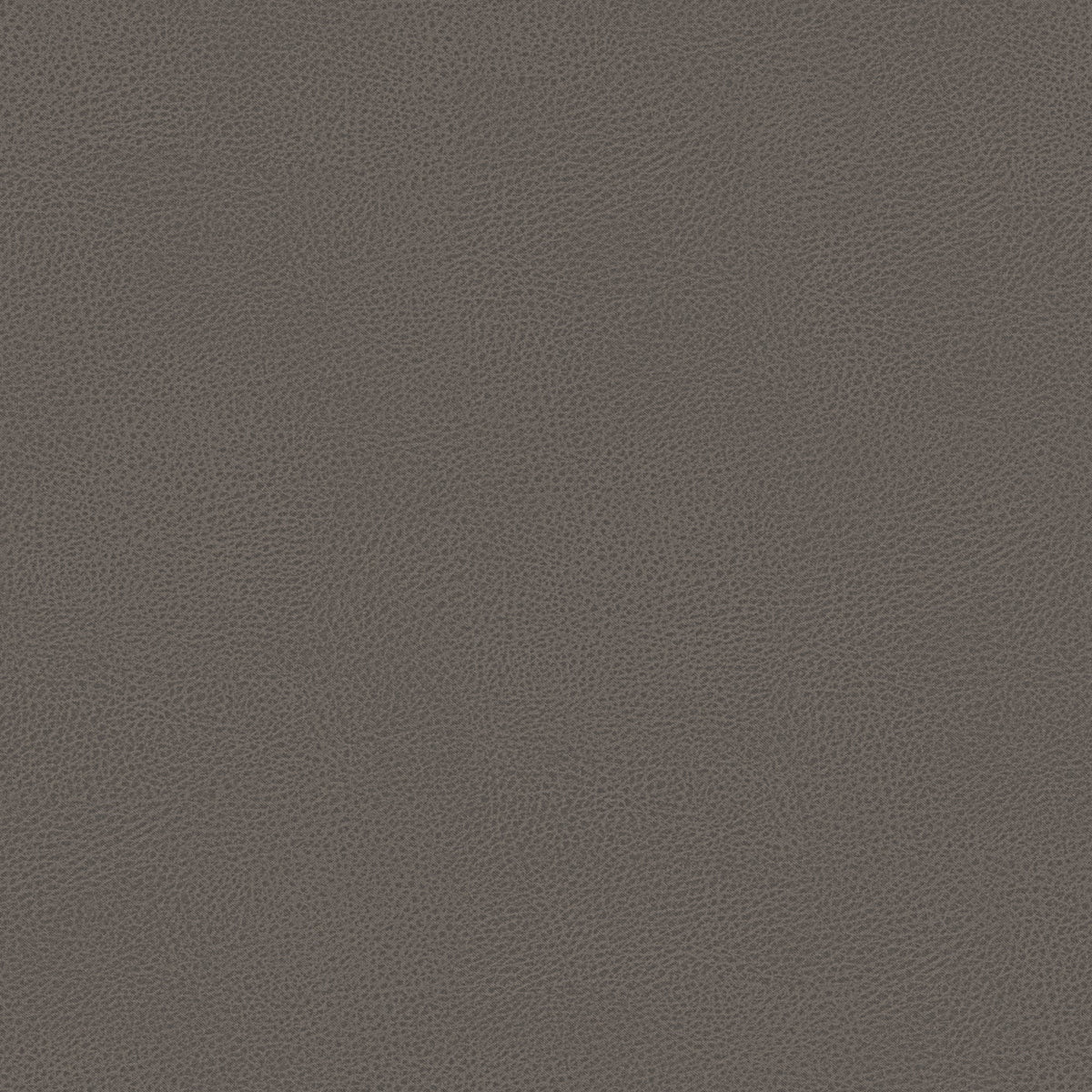 Nina letto contenitore dal design minimal in microfibra effetto pelle smacchiabile tortora - divitt.sbs