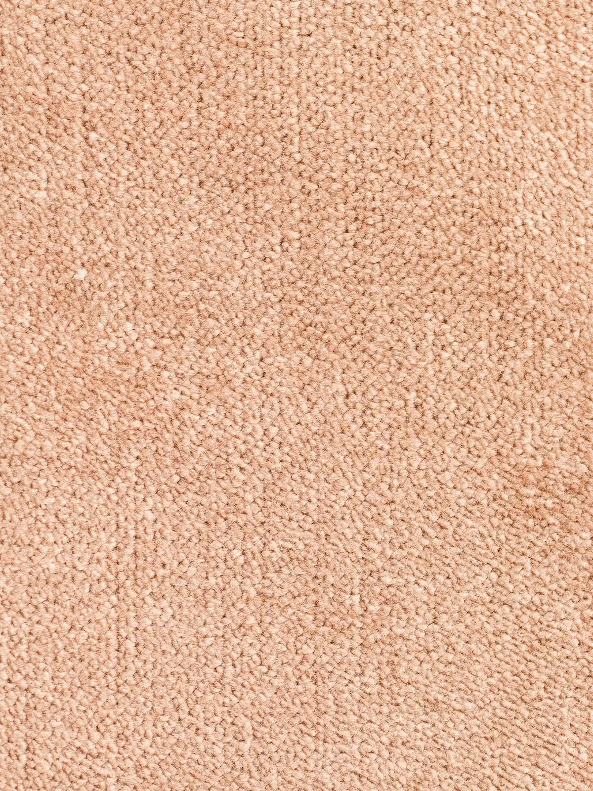 Un primo piano del tessuto S05 BRERA “velluto moderno” soft-touch smacchiabile in beige chiaro, caratterizzato da un pelo fitto e strutturato con piccoli anelli ben ravvicinati che conferiscono un aspetto uniforme e vellutato.