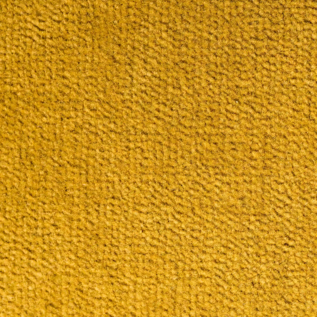 Primo piano del cuscino Bolero di divitt.sbs in giallo oro: fibre fitte e corte e una consistenza morbida e felpata. Realizzato in tessuto T31 antimacchia, impermeabile e non restringente. Non sono visibili altri oggetti.