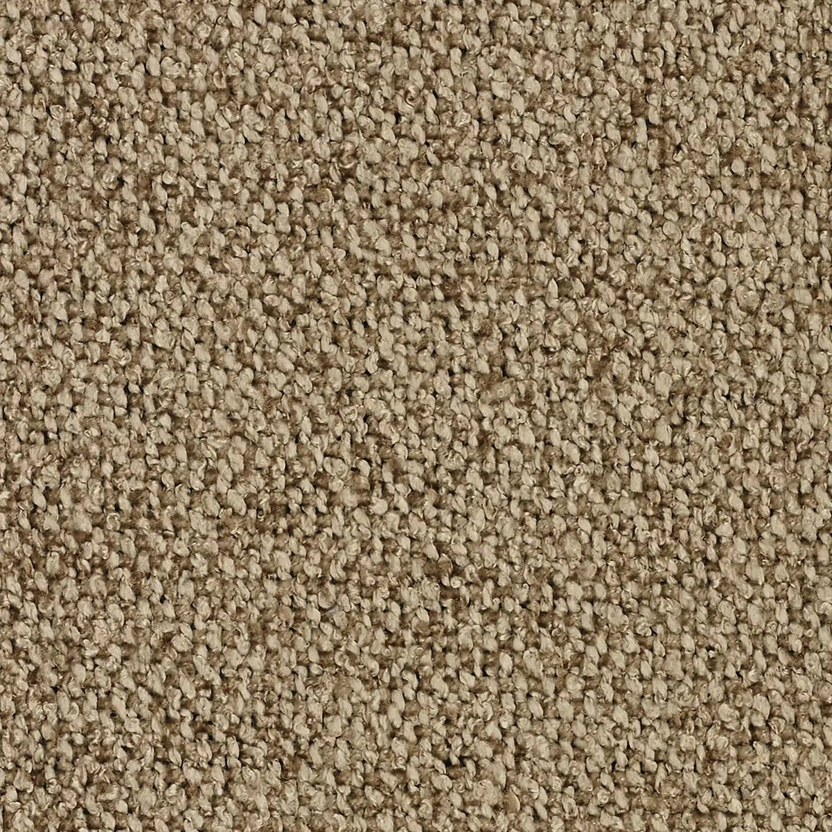 Primo piano di un tappeto beige con un vello a pelo ritorto e strutturato: abbinatelo al cuscino Lambada di divitt.sbs, disponibile in vari colori e realizzato in fresco tessuto T33, impermeabile e antimacchia, simile al cotone naturale, per un maggiore comfort.