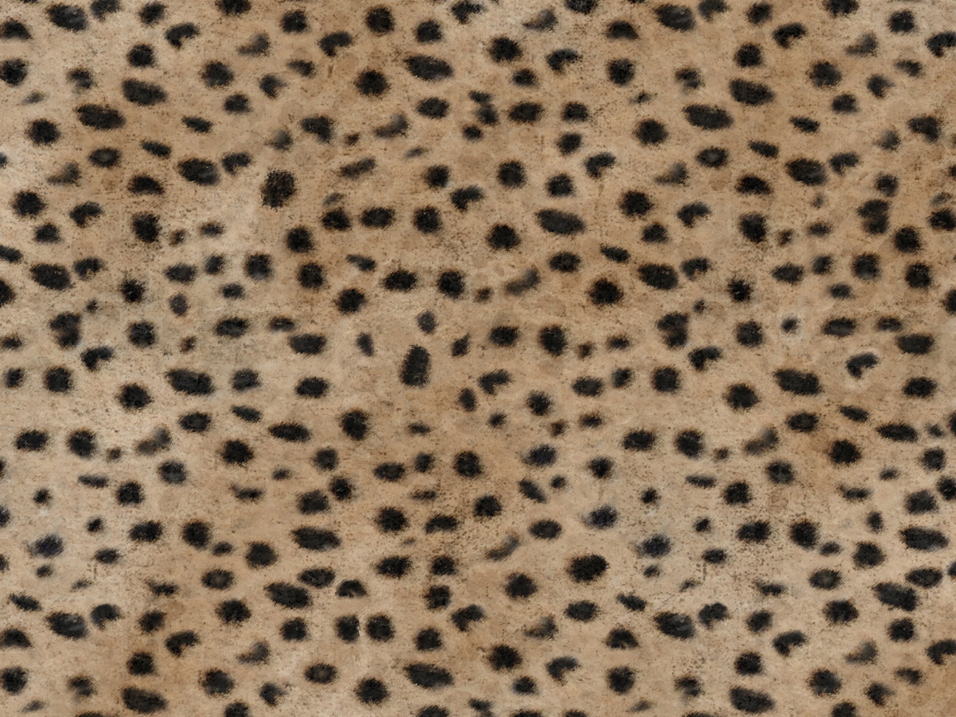 Wild cuscino in collezione Wild in microfibra impermeabile - divitt.sbs
