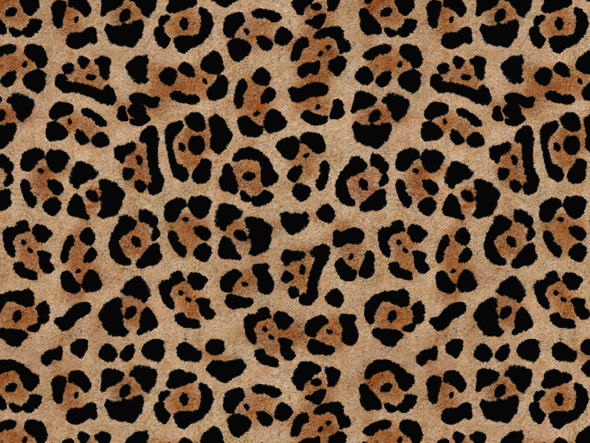 Wild cuscino in collezione Wild in microfibra impermeabile - divitt.sbs
